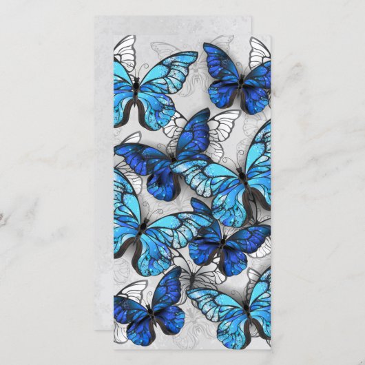 Samenstelling van witte en blauwe vlinders aankondiging (Voorkant / Achterkant)
