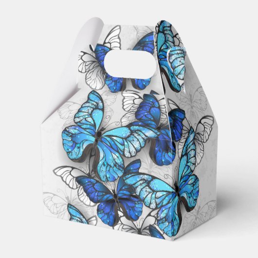 Samenstelling van witte en blauwe vlinders bedankdoosjes (Voorkant Zijde)