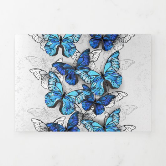 Samenstelling van witte en blauwe vlinders drieluik kaart (Cover)