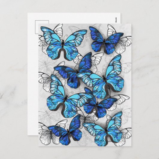 Samenstelling van witte en blauwe vlinders feestdagenkaart (Voorkant / Achterkant)