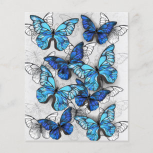 Samenstelling van witte en blauwe vlinders flyer
