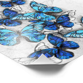 Samenstelling van witte en blauwe vlinders foto afdruk (Hoek)