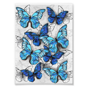 Samenstelling van witte en blauwe vlinders foto afdruk