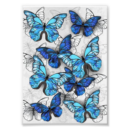 Samenstelling van witte en blauwe vlinders foto afdruk (Voorkant)