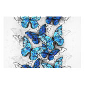 Samenstelling van witte en blauwe vlinders foto afdruk (Voorkant)