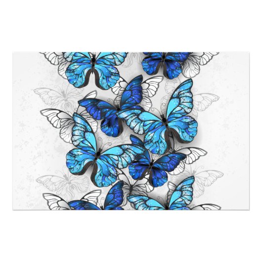 Samenstelling van witte en blauwe vlinders foto afdruk (Voorkant)