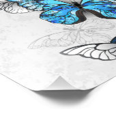 Samenstelling van witte en blauwe vlinders foto afdruk (Hoek)