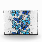 Samenstelling van witte en blauwe vlinders fotoblokken (Voorkant)