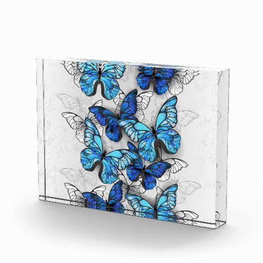 Samenstelling van witte en blauwe vlinders fotoblokken (Rechts)