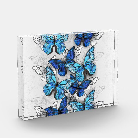 Samenstelling van witte en blauwe vlinders fotoblokken (Links)