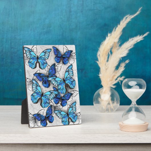 Samenstelling van witte en blauwe vlinders fotoplaat (Zijkant)