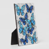 Samenstelling van witte en blauwe vlinders fotoplaat (Zijkant)