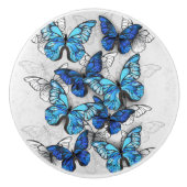 Samenstelling van witte en blauwe vlinders keramische knop (Voorkant)