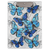 Samenstelling van witte en blauwe vlinders klembord (Voorkant)