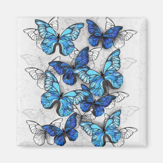 Samenstelling van witte en blauwe vlinders magneet (Voorkant)