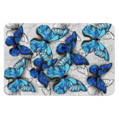Samenstelling van witte en blauwe vlinders magneet (Horizontaal)