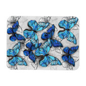 Samenstelling van witte en blauwe vlinders magneet (Horizontaal)