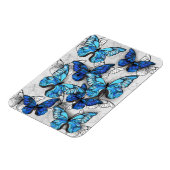 Samenstelling van witte en blauwe vlinders magneet (Linkerzijde)