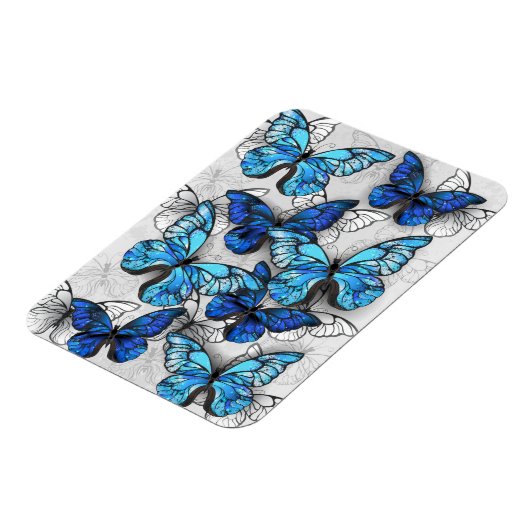 Samenstelling van witte en blauwe vlinders magneet (Linkerzijde)