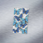 Samenstelling van witte en blauwe vlinders magnetisch visitekaartje (Voorbeeld)