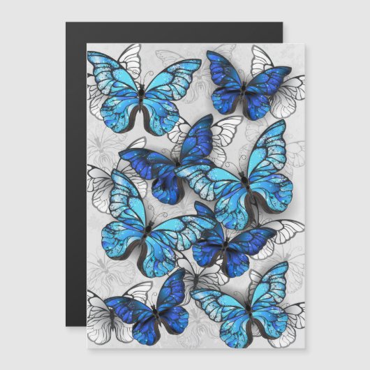 Samenstelling van witte en blauwe vlinders magnetische uitnodiging (Voorkant / Achterkant)