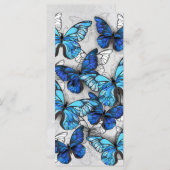 Samenstelling van witte en blauwe vlinders menu (Voorkant / Achterkant)