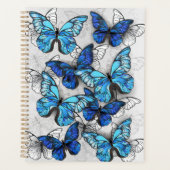 Samenstelling van witte en blauwe vlinders planner (Voorkant)