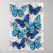 Samenstelling van witte en blauwe vlinders poster (Voorkant)
