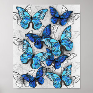 Samenstelling van witte en blauwe vlinders poster