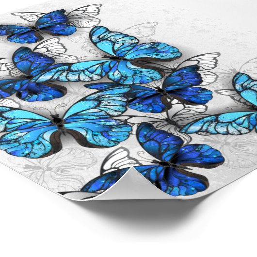 Samenstelling van witte en blauwe vlinders poster (Hoek)