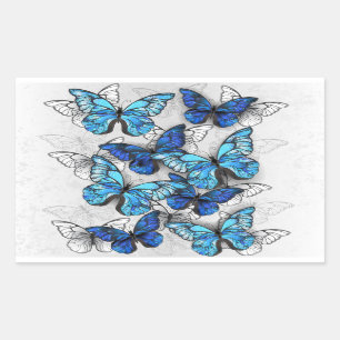 Samenstelling van witte en blauwe vlinders rechthoekige sticker