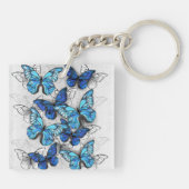 Samenstelling van witte en blauwe vlinders sleutelhanger (Achterkant)