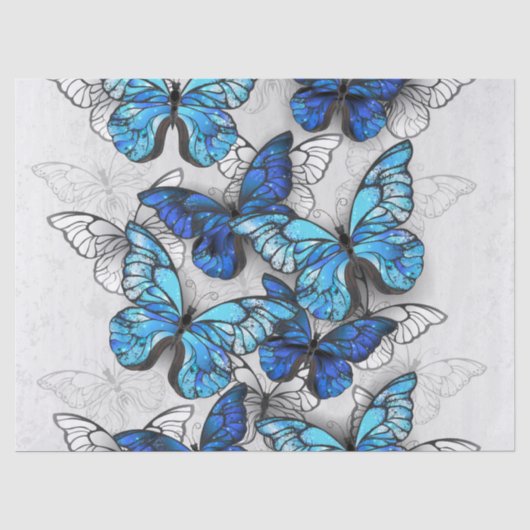 Samenstelling van witte en blauwe vlinders tissuepapier (Voorkant)