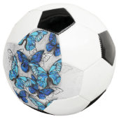 Samenstelling van witte en blauwe vlinders voetbal (Drie kwart)