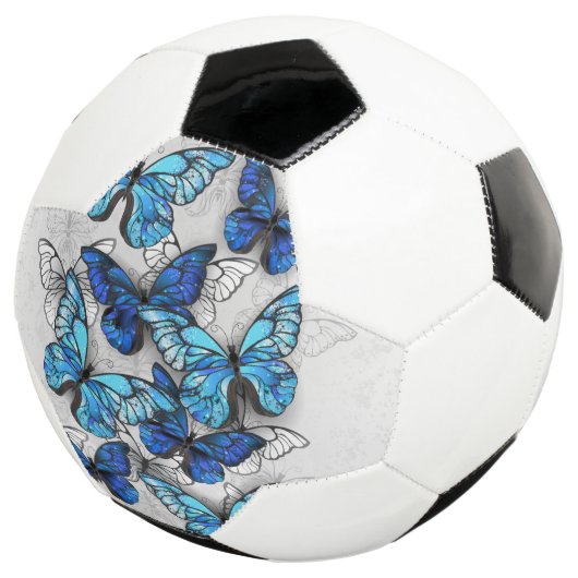 Samenstelling van witte en blauwe vlinders voetbal (Drie kwart)