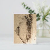 Samenvattende beschrijving Leonardo da Vinci, ontw Briefkaart (Staand voorkant)