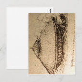 Samenvattende beschrijving Leonardo da Vinci, ontw Briefkaart (Voorkant / Achterkant)