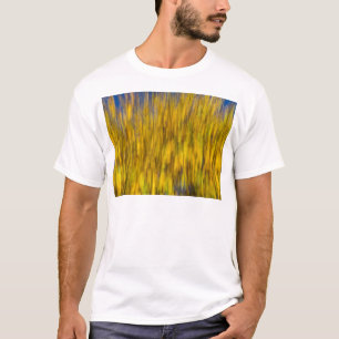 Samenvatting van de Herfst T-shirt