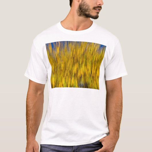 Samenvatting van de Herfst T-shirt (Voorkant)