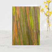 Samenvatting van de Schors van de Eucalyptus Kaart (Gele Bloem)