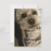 Samenvoegen en inhalen kaart (Voorkant)