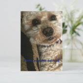 Samenvoegen en inhalen kaart (Staand voorkant)