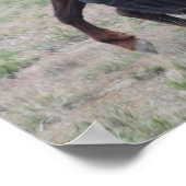 Samenwerken Poster (Hoek)