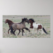 Samenwerken Poster (Voorkant)