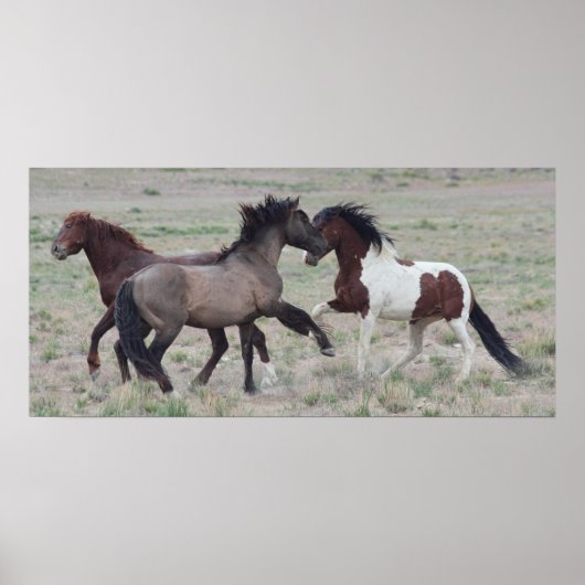 Samenwerken Poster (Voorkant)