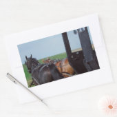 Samenwerken Rechthoekige Sticker (Envelop)