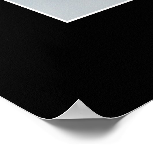 SAMENWERKINGSBald Eagles Foto Poster (Hoek)