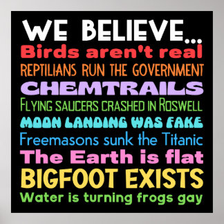 Samenzweringstheorieën bordje poster