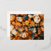 Samhain Folie Briefkaart Gaeilge Irish Celtic Paga (Voorkant / Achterkant)