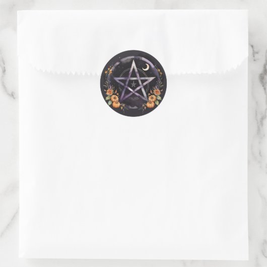 Samhain Pentacle & Fall Pumpkins Witch Ronde Sticker (Tas)